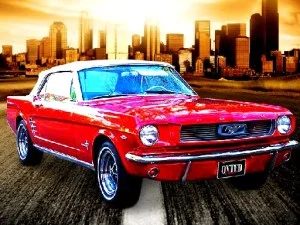 Daily Mustang Jigsaw